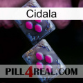 Cidala 01